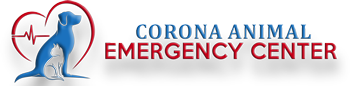 Corona Animal Emergency Center