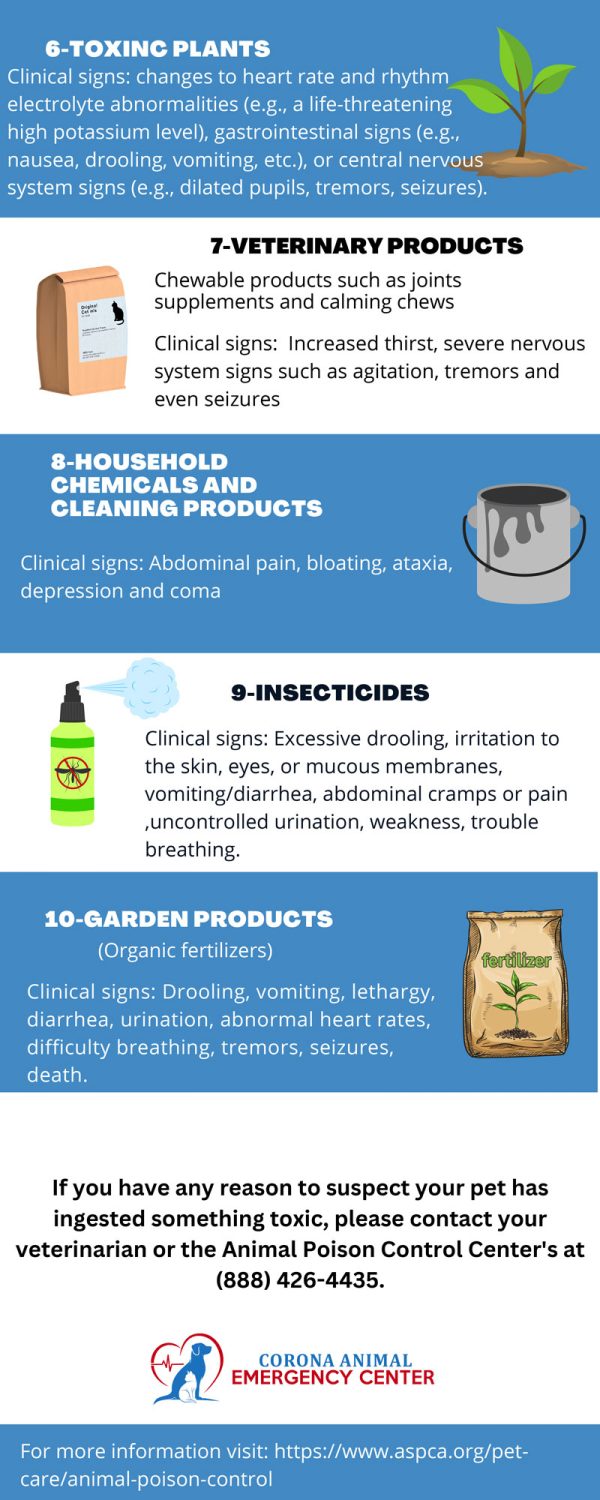 Most common household pet toxins - Corona Animal Emergency Center